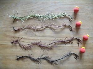 diverse adunate - kgrhqnl0e4lypykhrbospyi2hmq6035.JPG